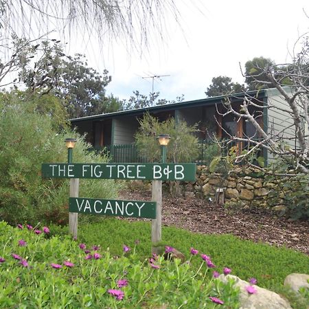 The Fig Tree B&B Baudin Beach Buitenkant foto