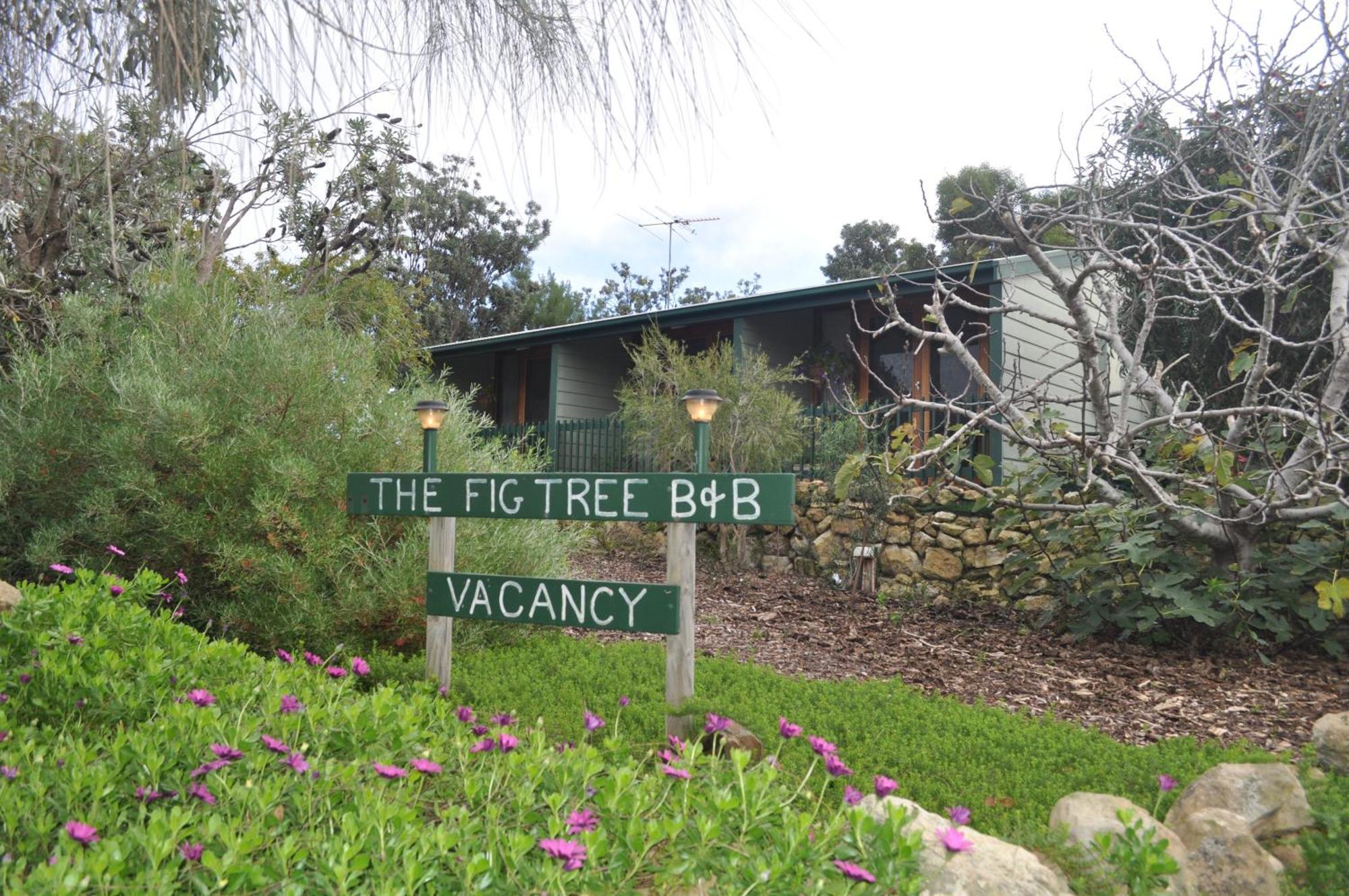 The Fig Tree B&B Baudin Beach Buitenkant foto